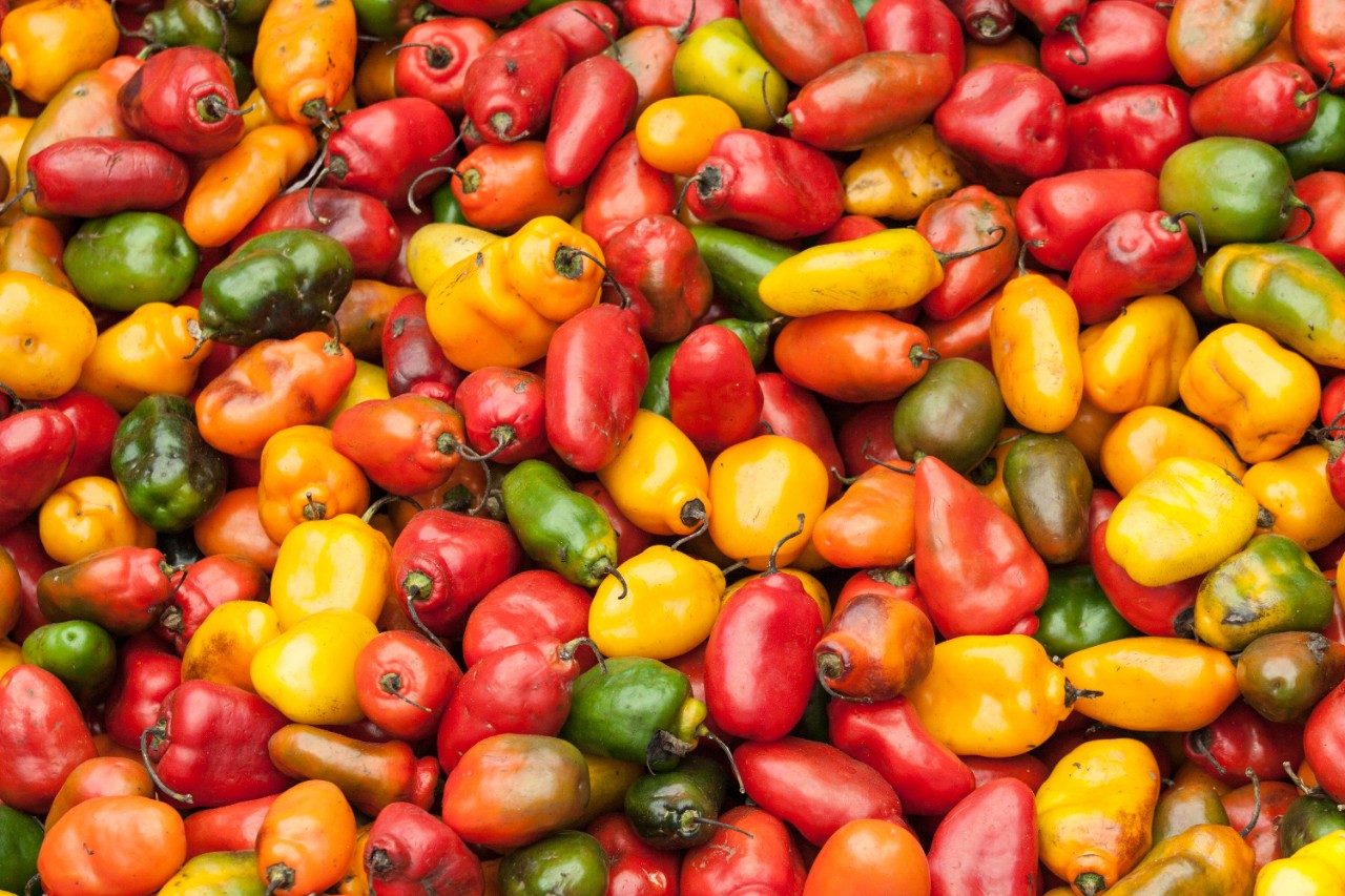 Colorful sweet peppers on a market in Peru, South America