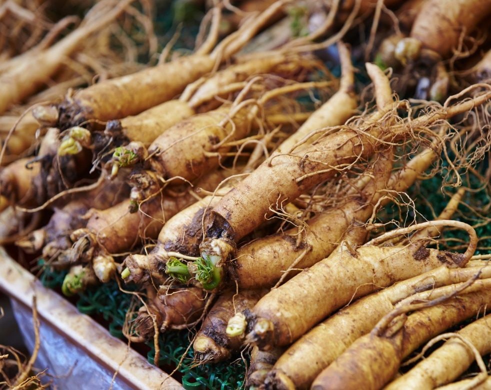 Ginseng root at Chinese herbal medicine market
