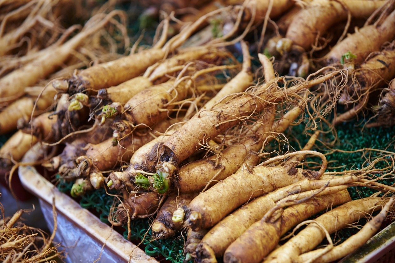Ginseng root at Chinese herbal medicine market