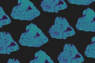 stock-cell-liver-imaging-