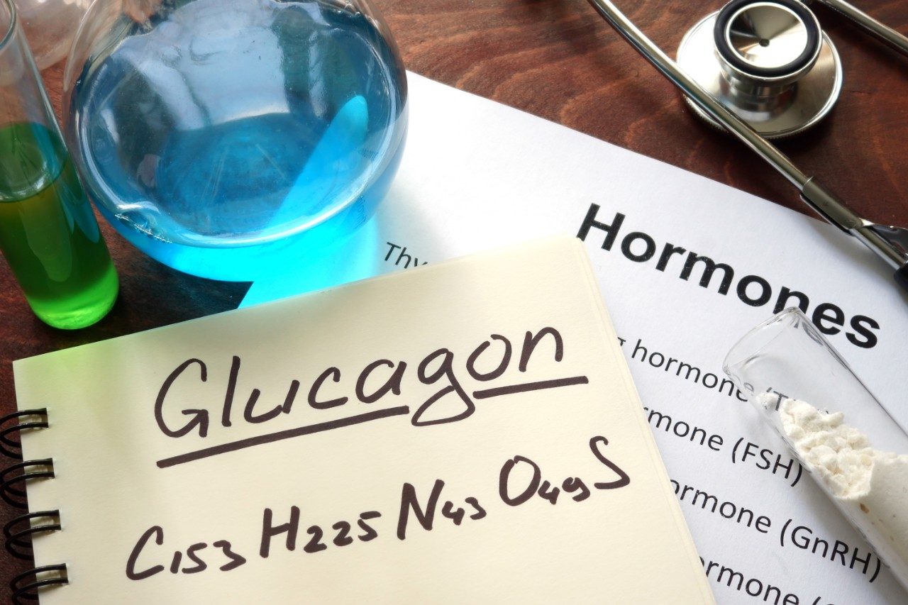 Hormone glucagon written on notebook