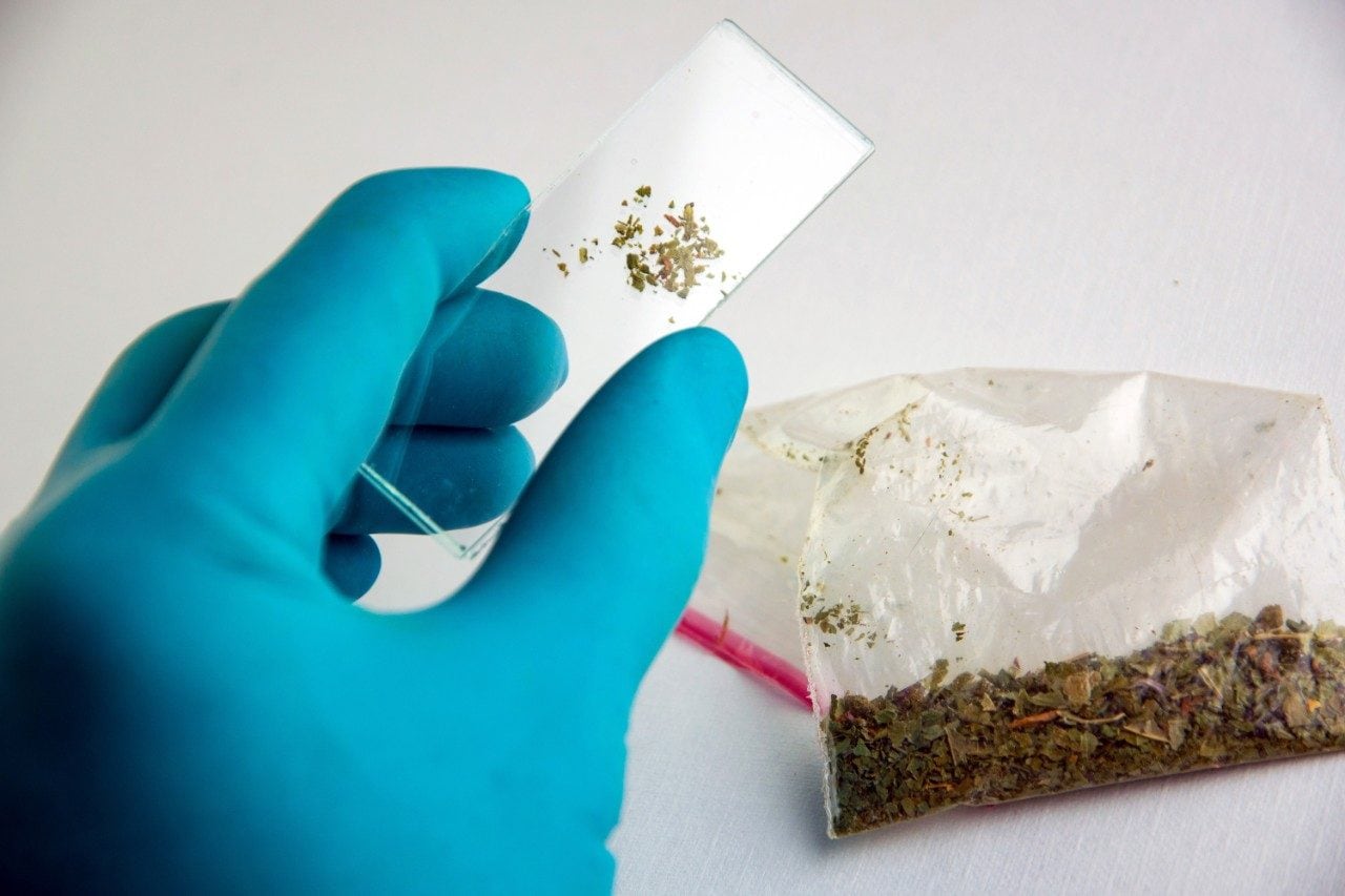 Synthetic cannabinoids testing on 'spice'