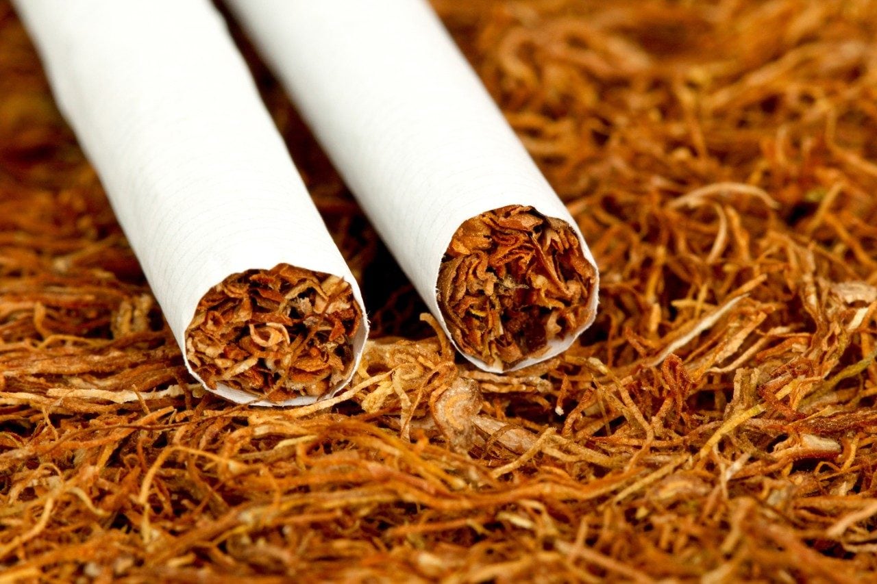 Two cigarettes on tobacco