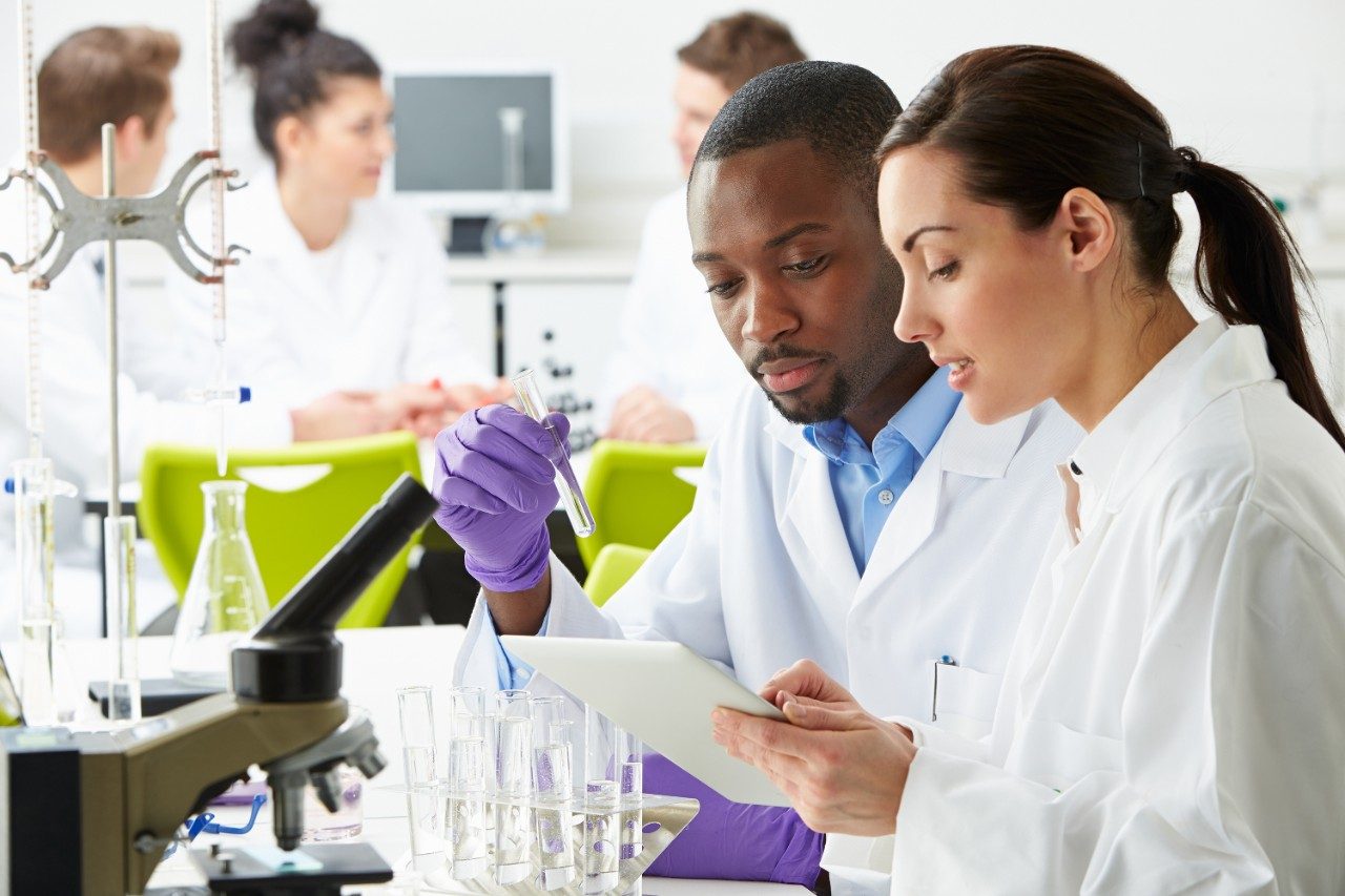 Group of technicians working in laboratory