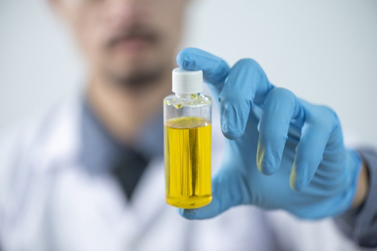 Biodiesel in laboratory bottle