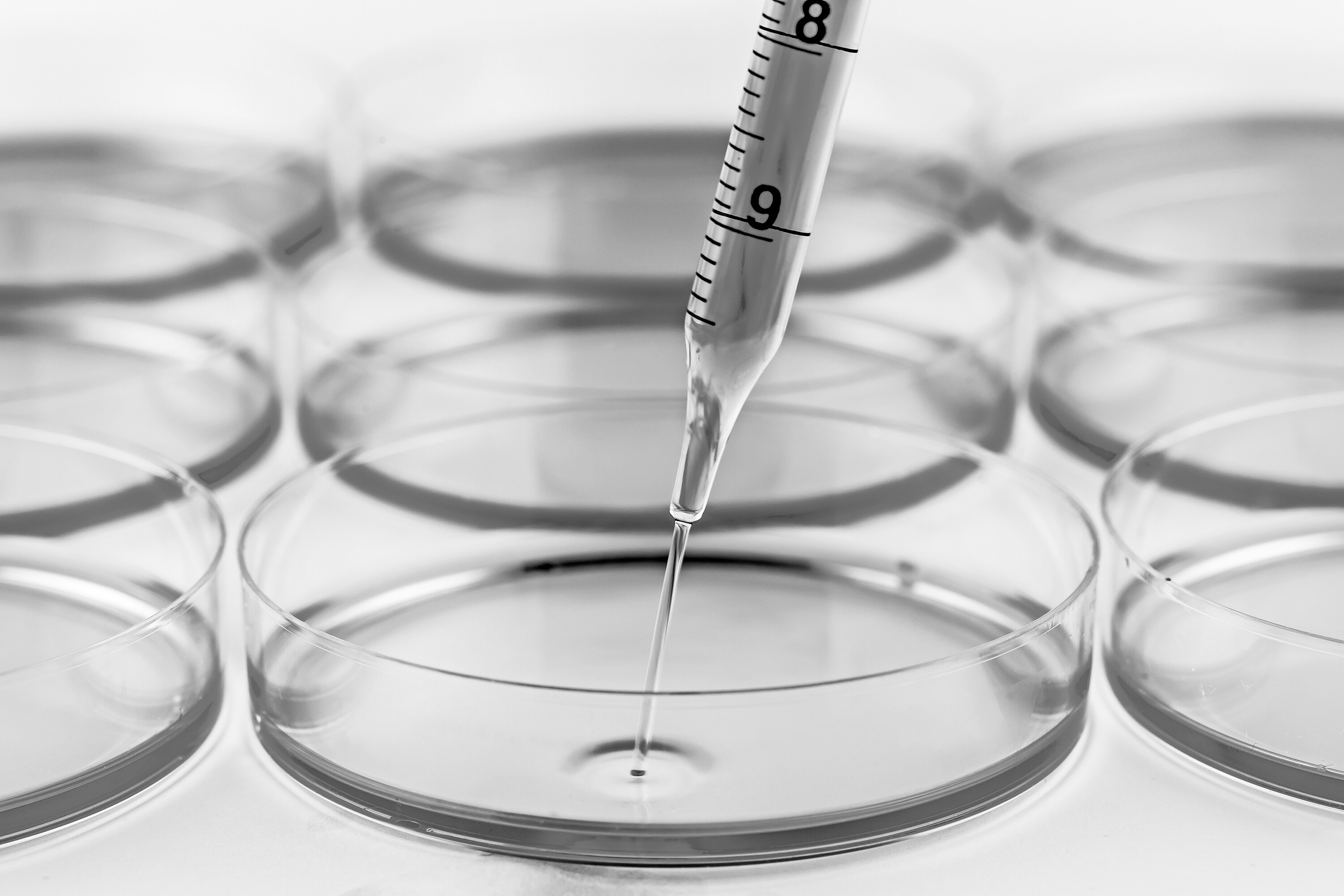 Targeted Quantification of Cell Culture Media Components by LCMS Waters