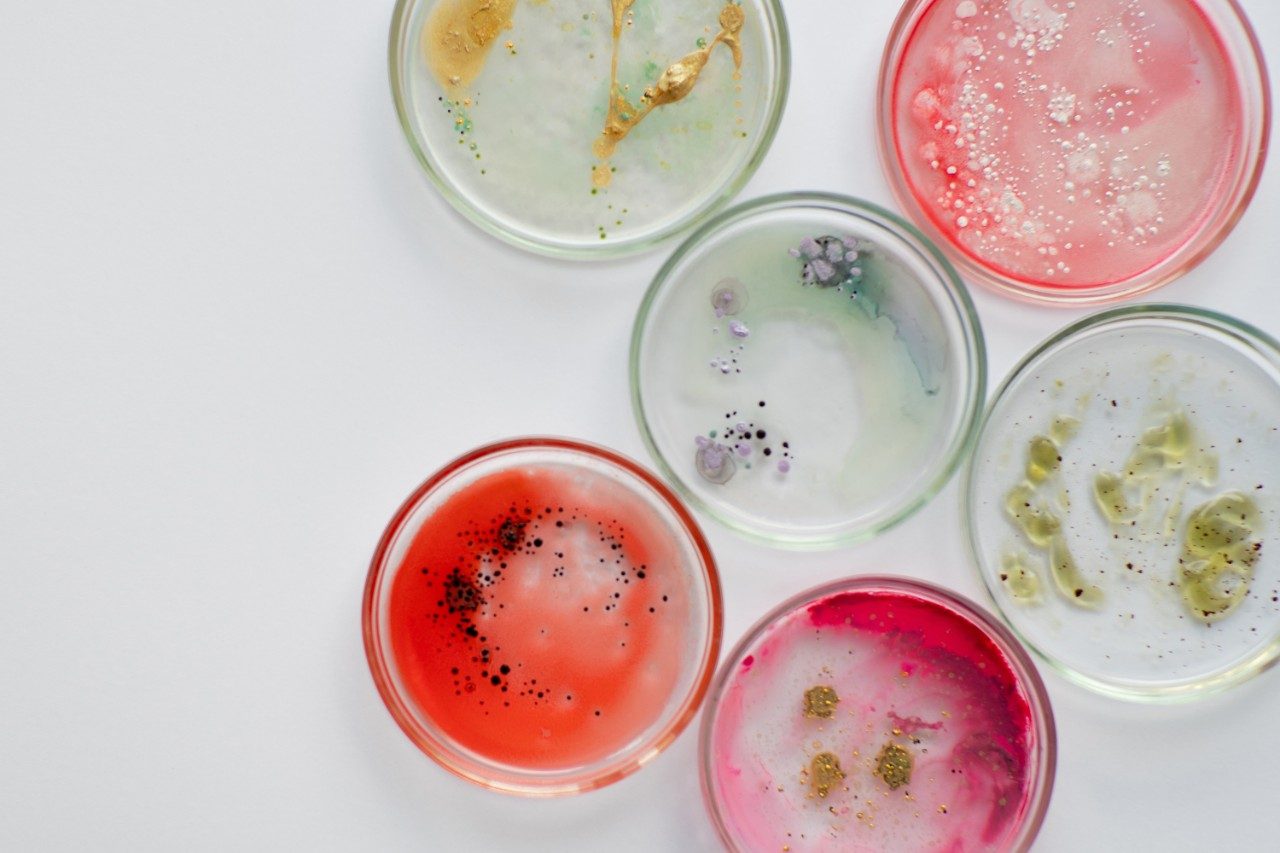 Viruses and bacteria in a petri dish