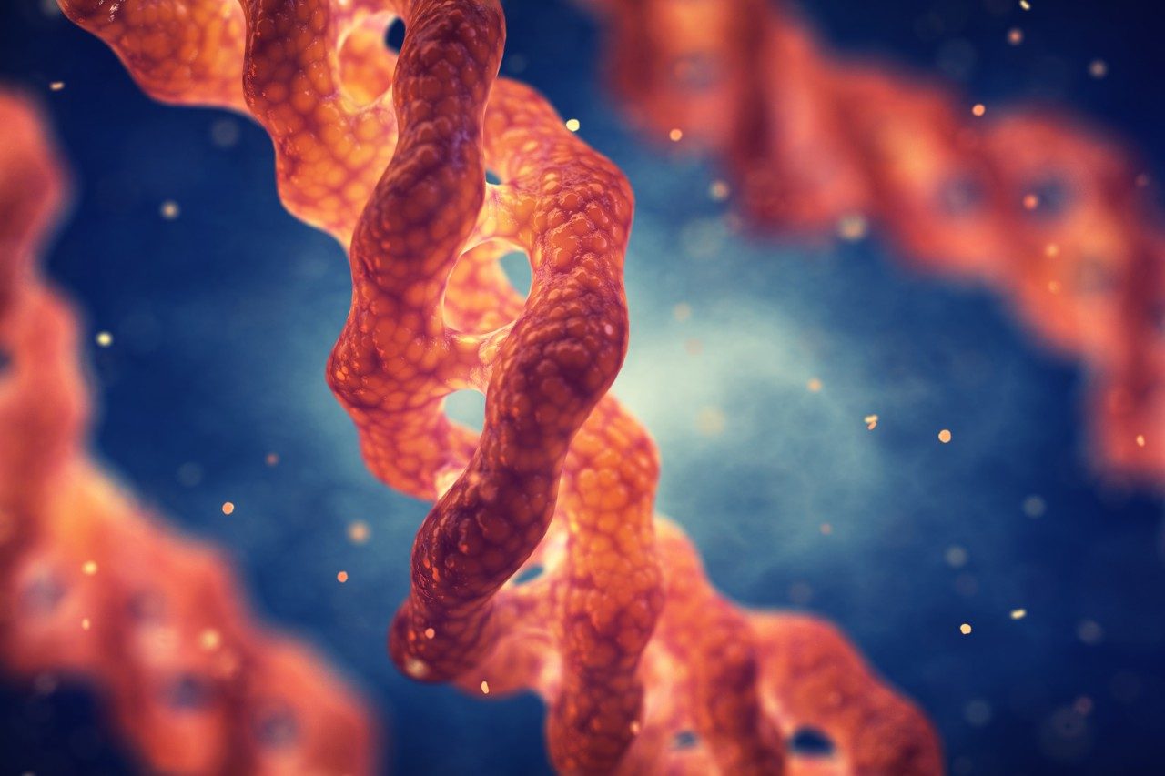 Collagen amino acid helix