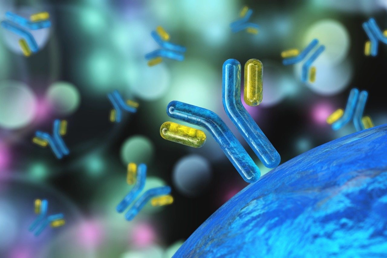 Antibodies, immunoglobulins, the immune system