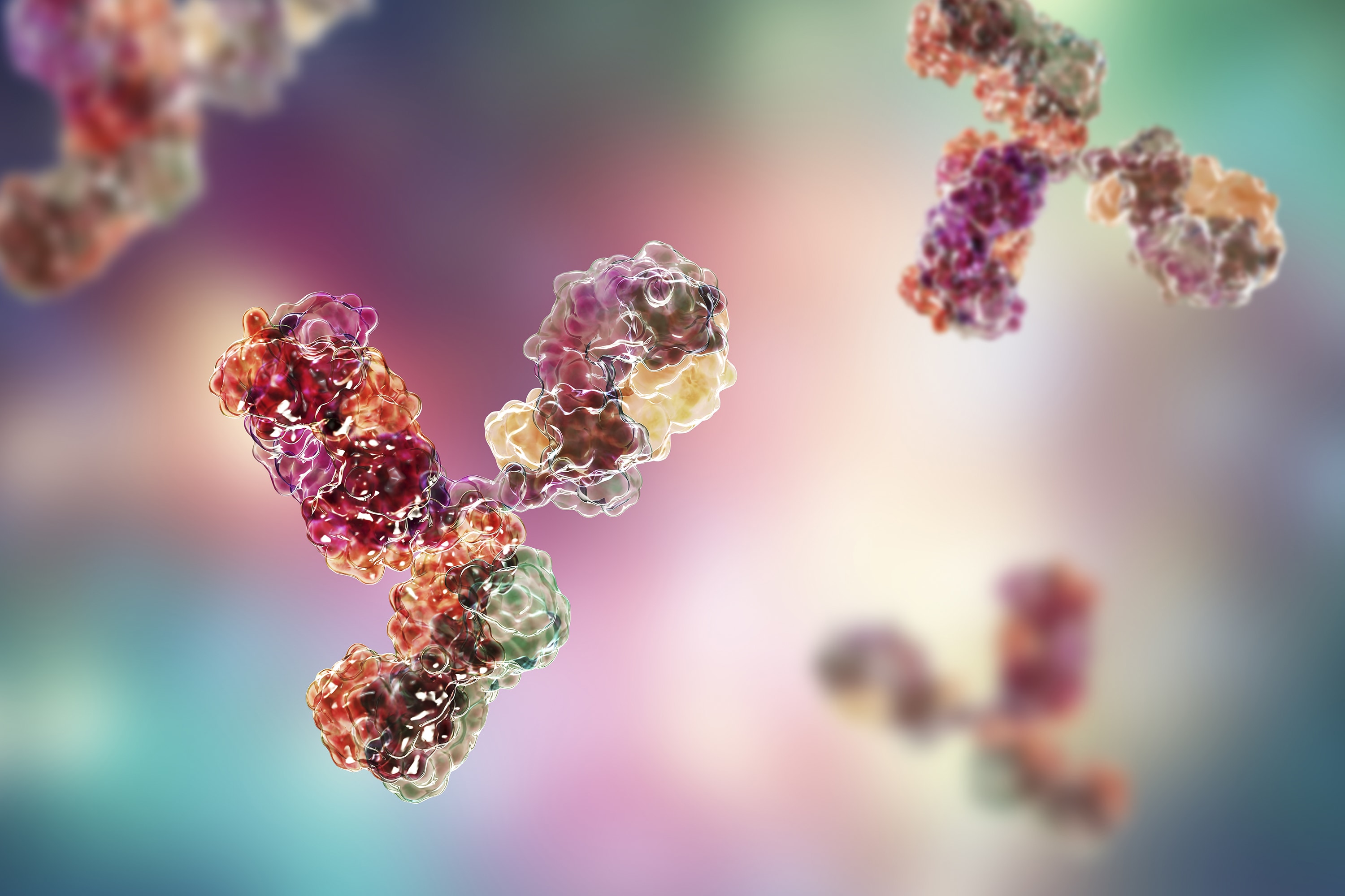 Antibody Drug Conjugate (ADC) Load Characterization and Analysis Using