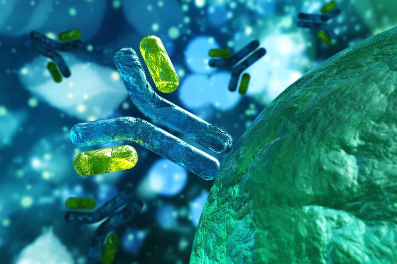 Improving the Recovery of Intact Antibodies from ReversedPhase