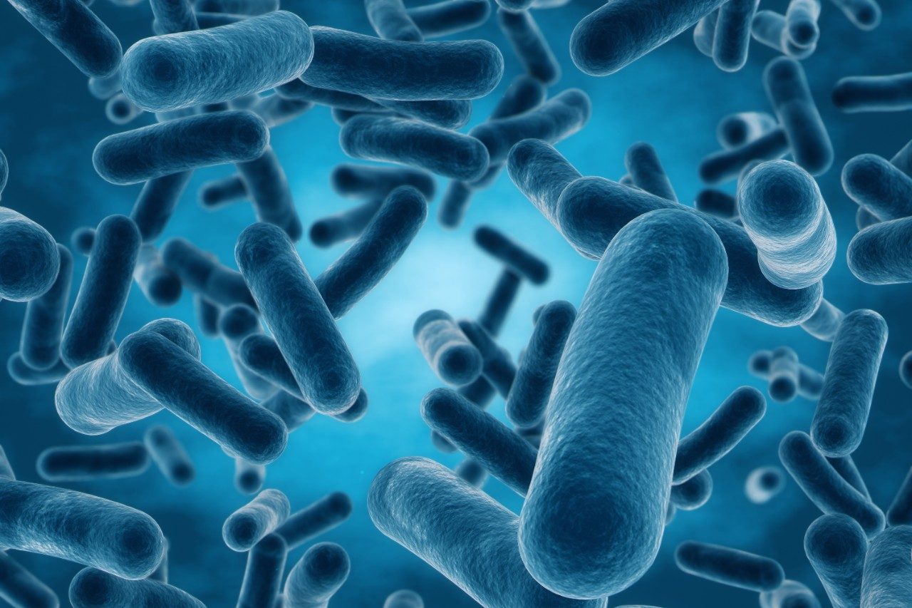 Blue bacteria macro