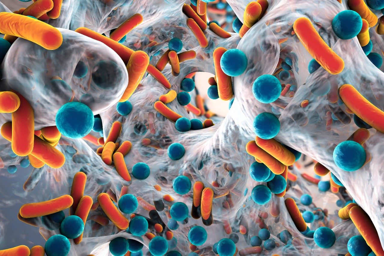 Antibiotic resistant bacteria