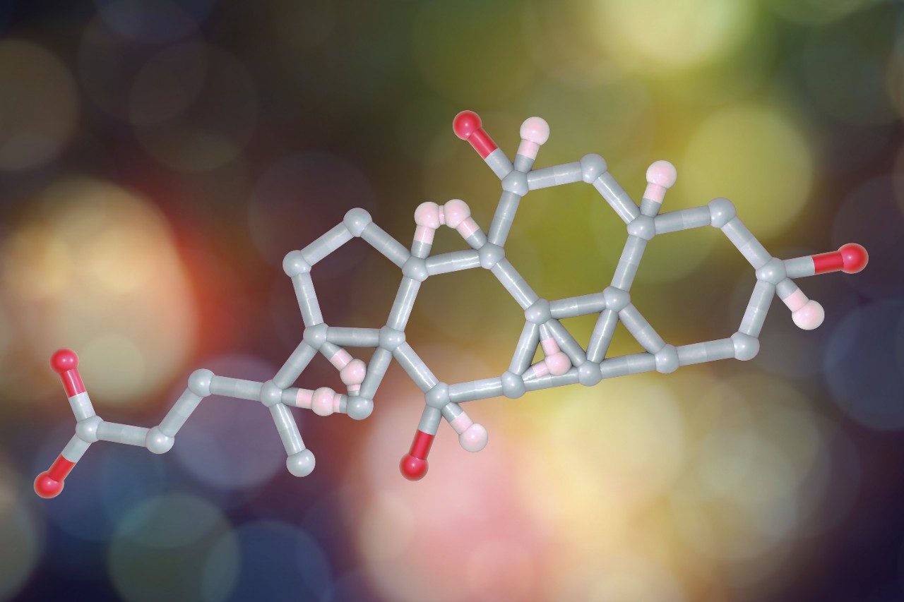 Cholic (bile) acid molecule