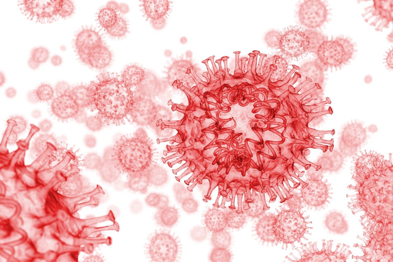 Coronavirus or COVID-19 flow with RNA