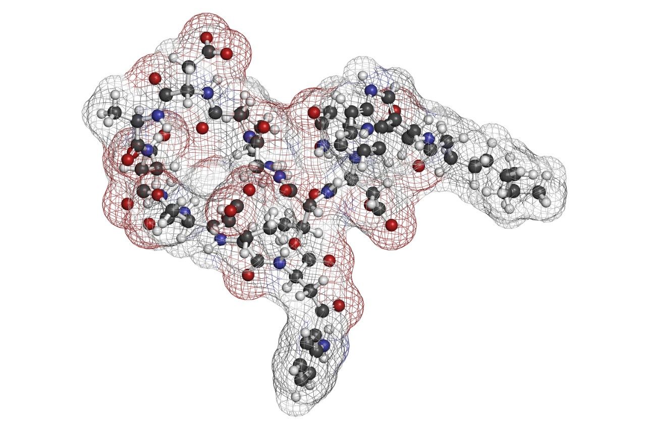 Daptomycin antibiotic drug molecule. Atoms are represented as spheres with conventional color coding: hydrogen (white), carbon (grey), oxygen (red), nitrogen (blue).