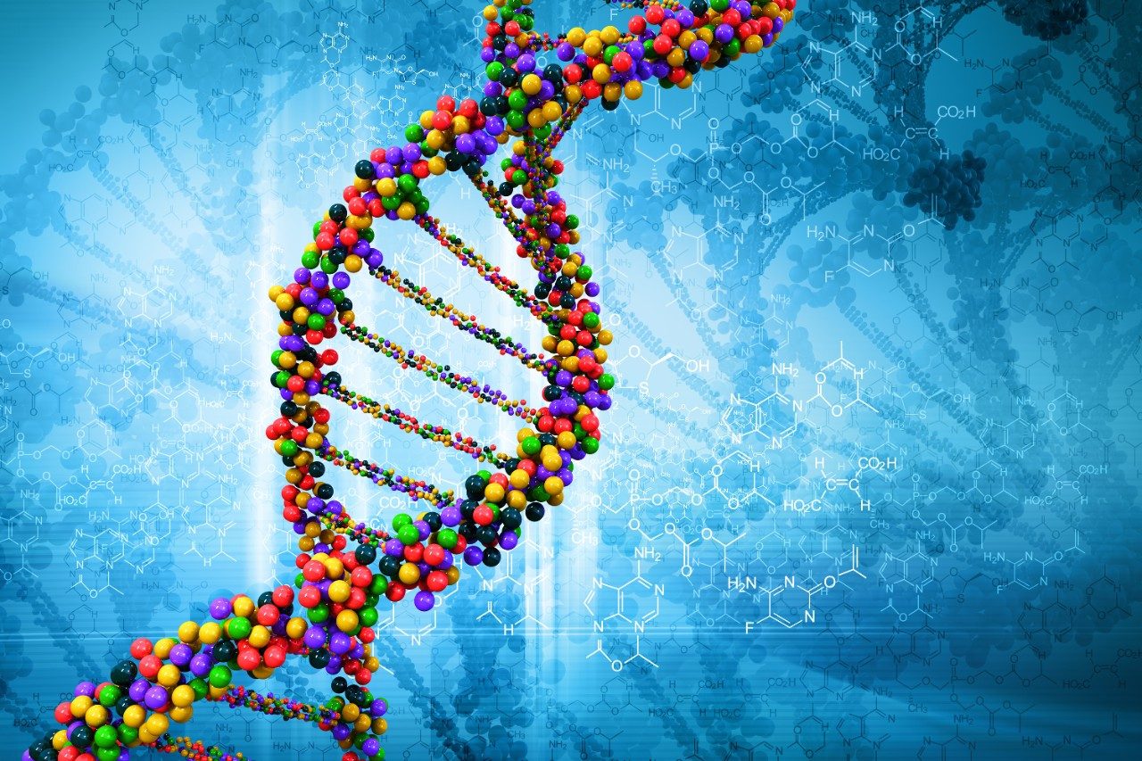 Multi-colored DNA strand