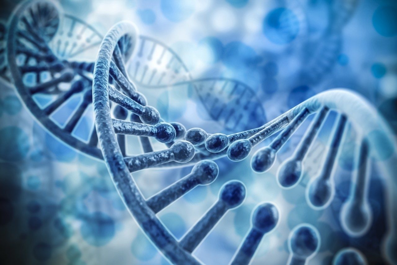 DNA structure concept