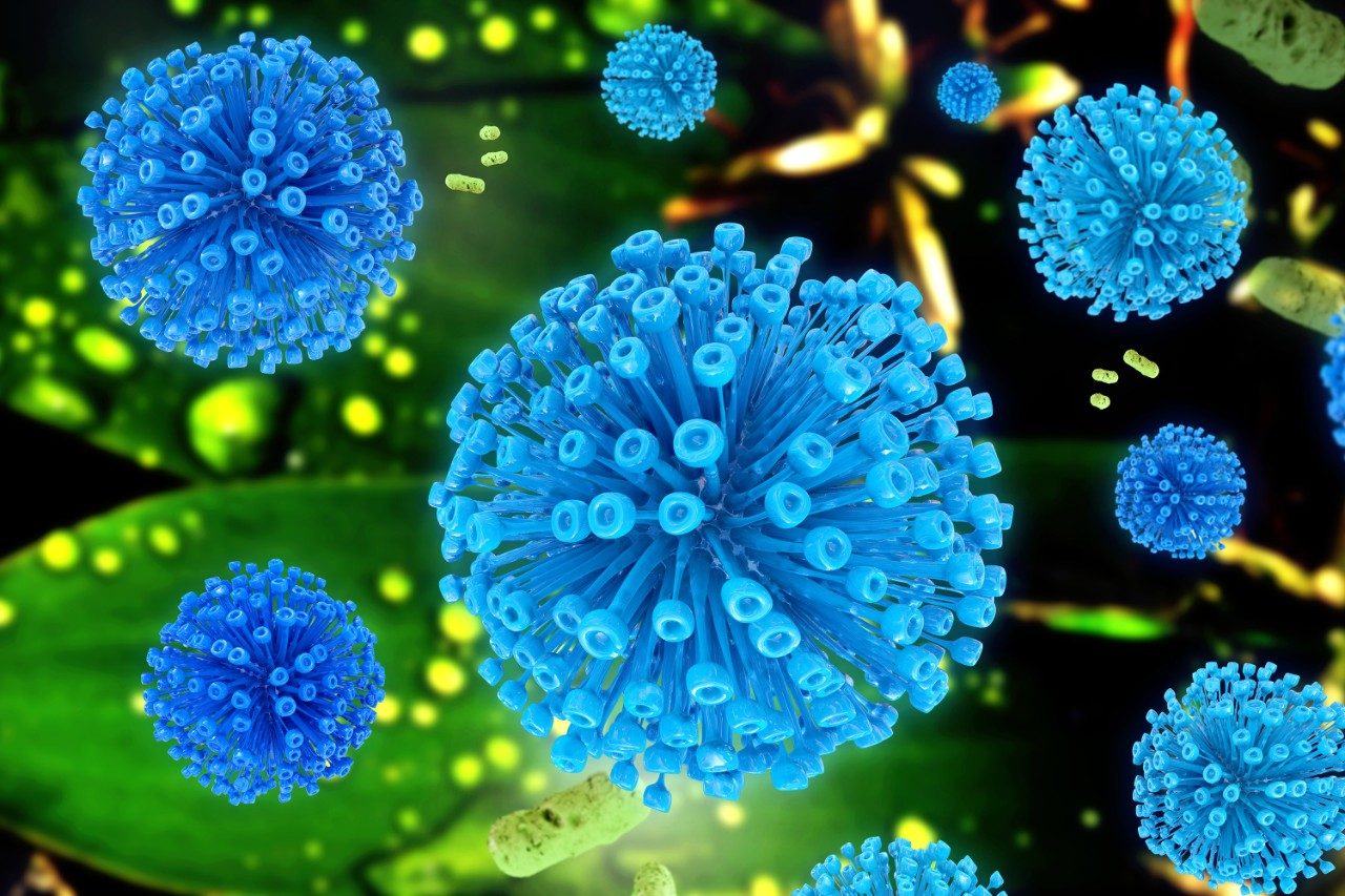 Retrovirus genotoxic impurity cells