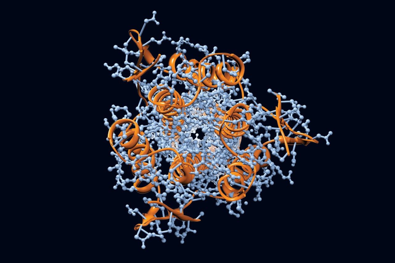 Glycoprotein molecule structure