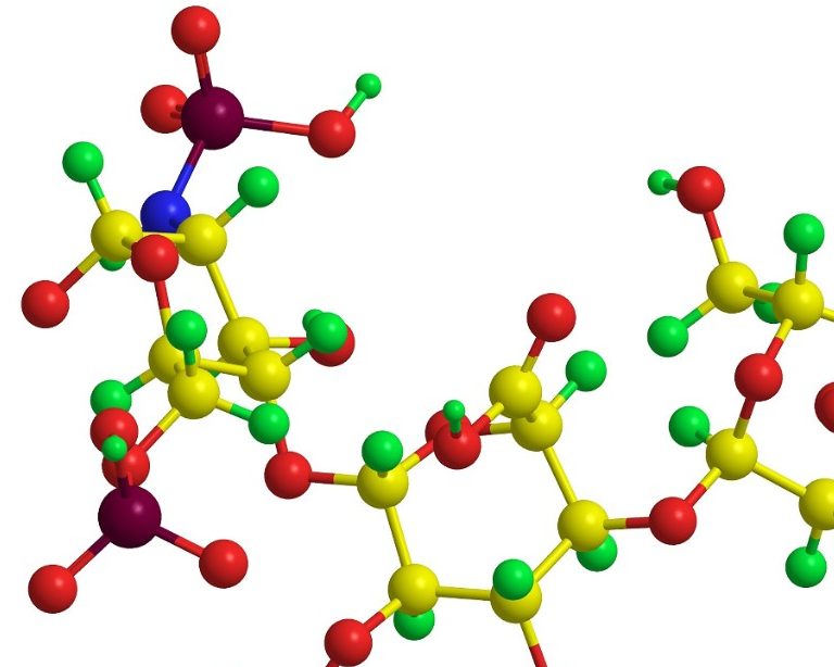 Heparin molecule structure