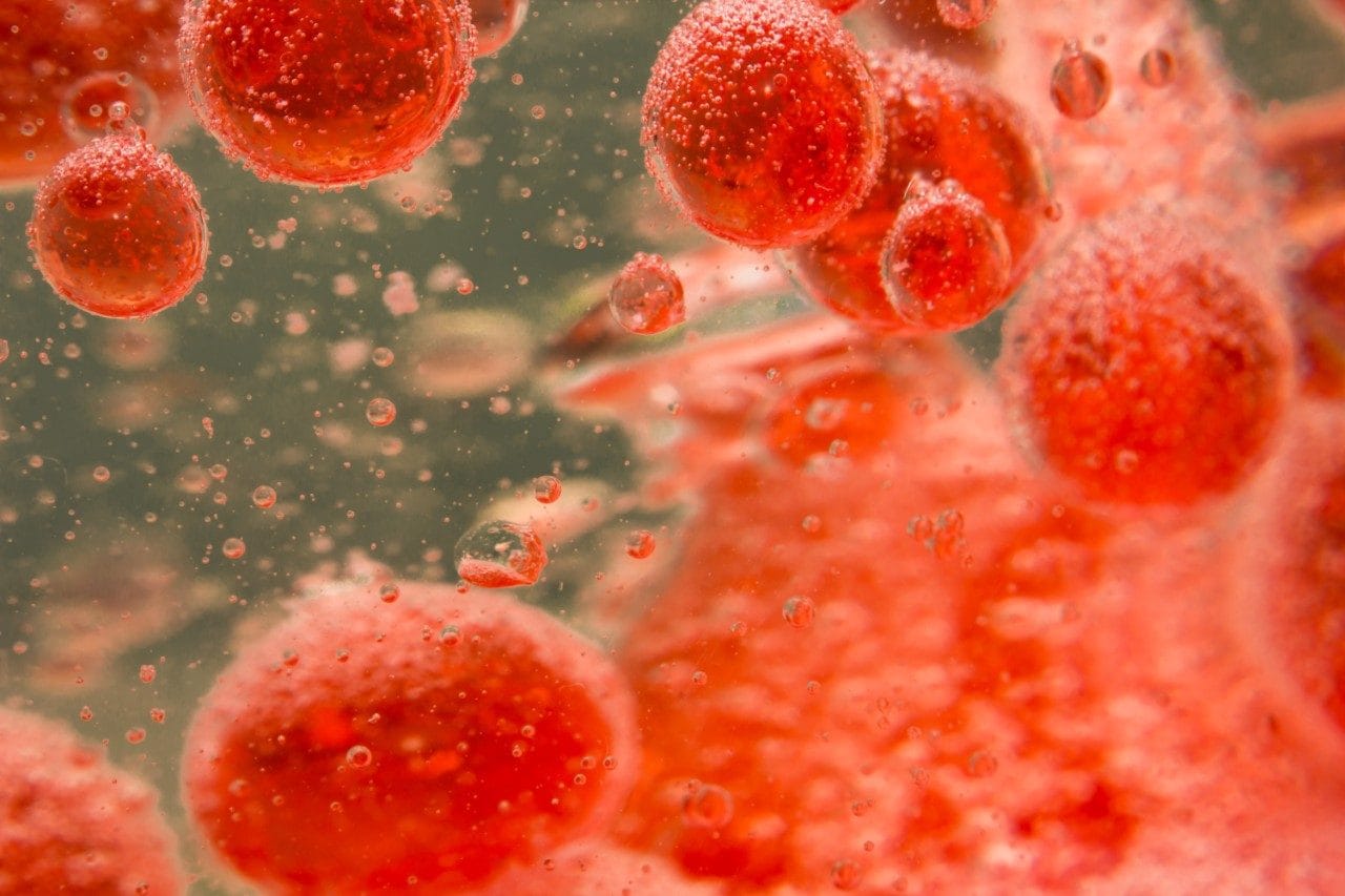 Human red blood cells macro