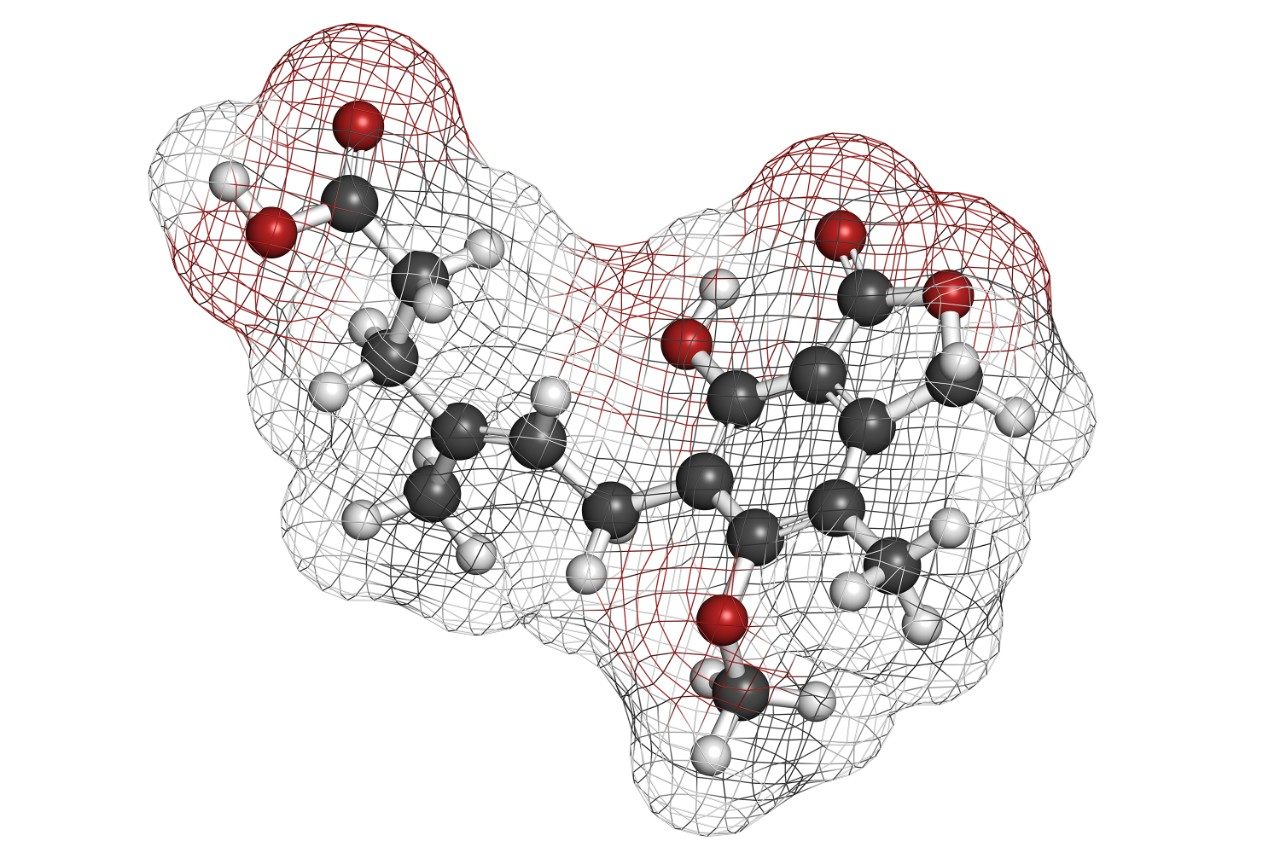 Mycophenolate (mycophenolic acid) chemical structure