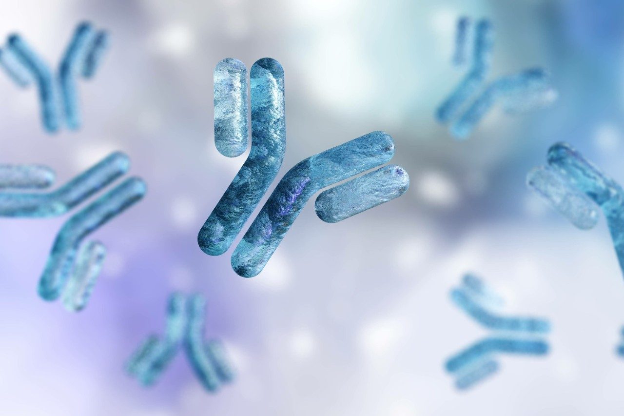 Antibody, immunoglobulin, Y-shaped protein in blue