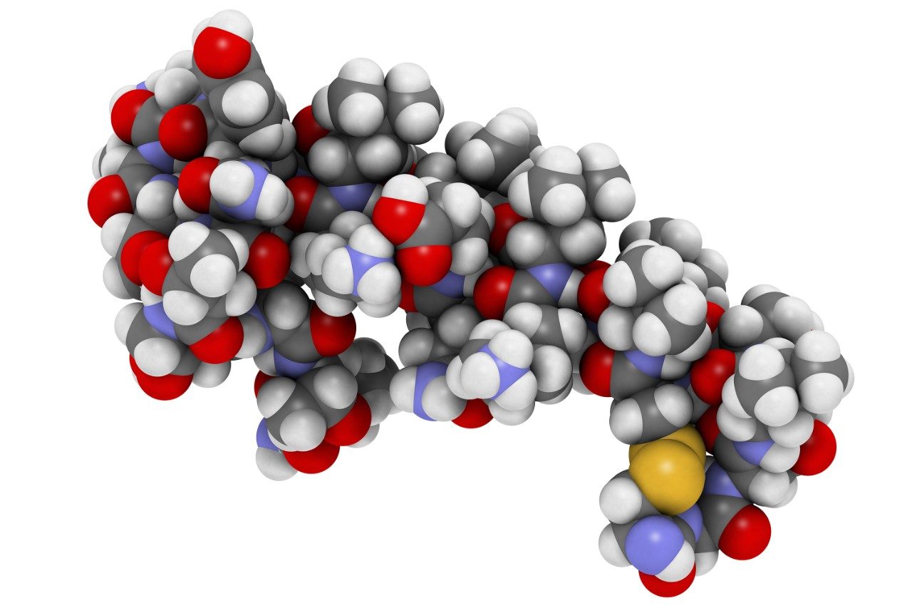 Salmon calcitonin peptide hormone drug