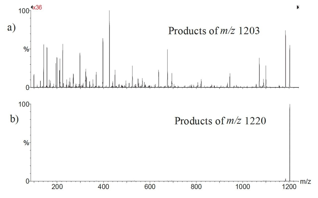 Comparison of the optimised product ion spectra.
