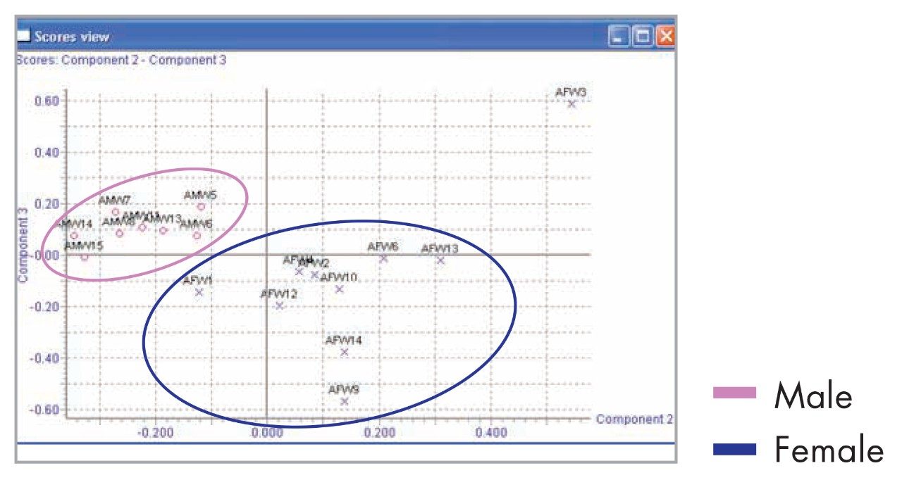 Scores plot for urine.