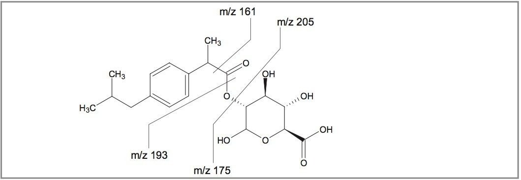 The MS/MS spectrum from the precursor ion at m/z 381