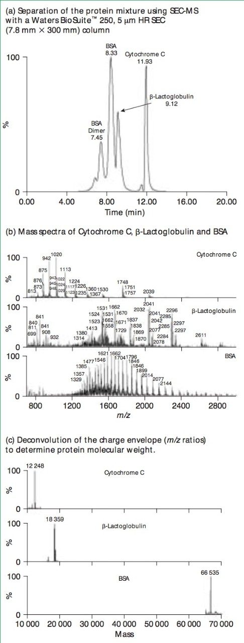 SEC-MS of protein mixture.