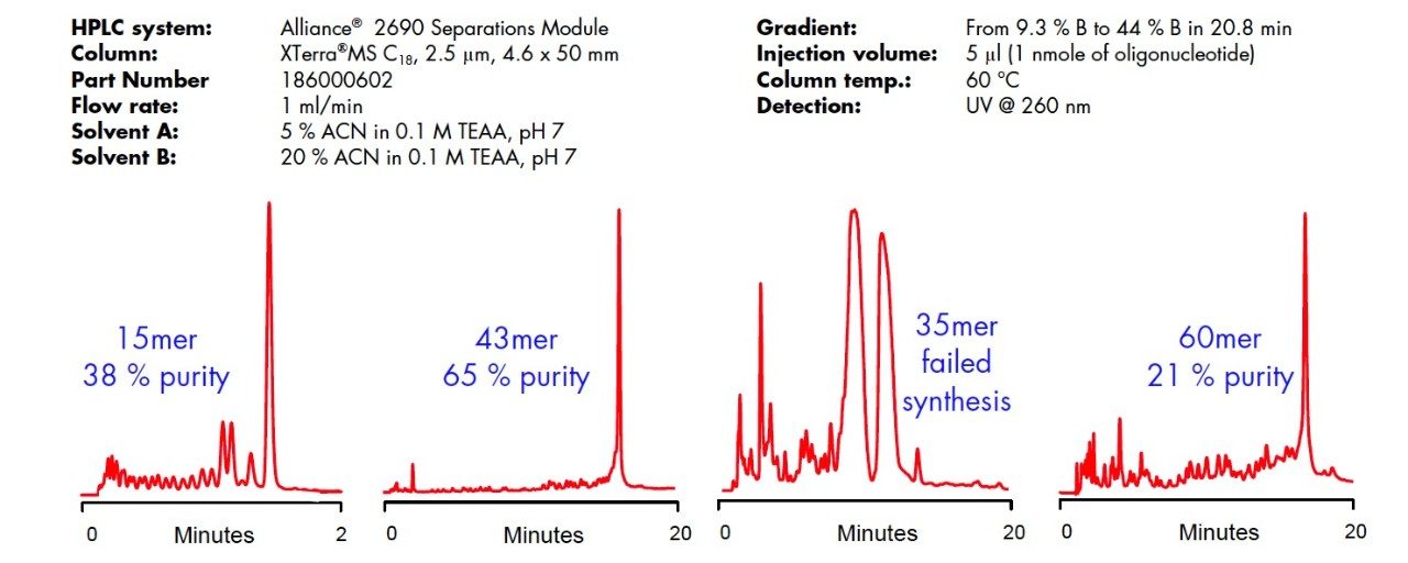 RP-HPLC quality control of synthetic oligonucleotides.