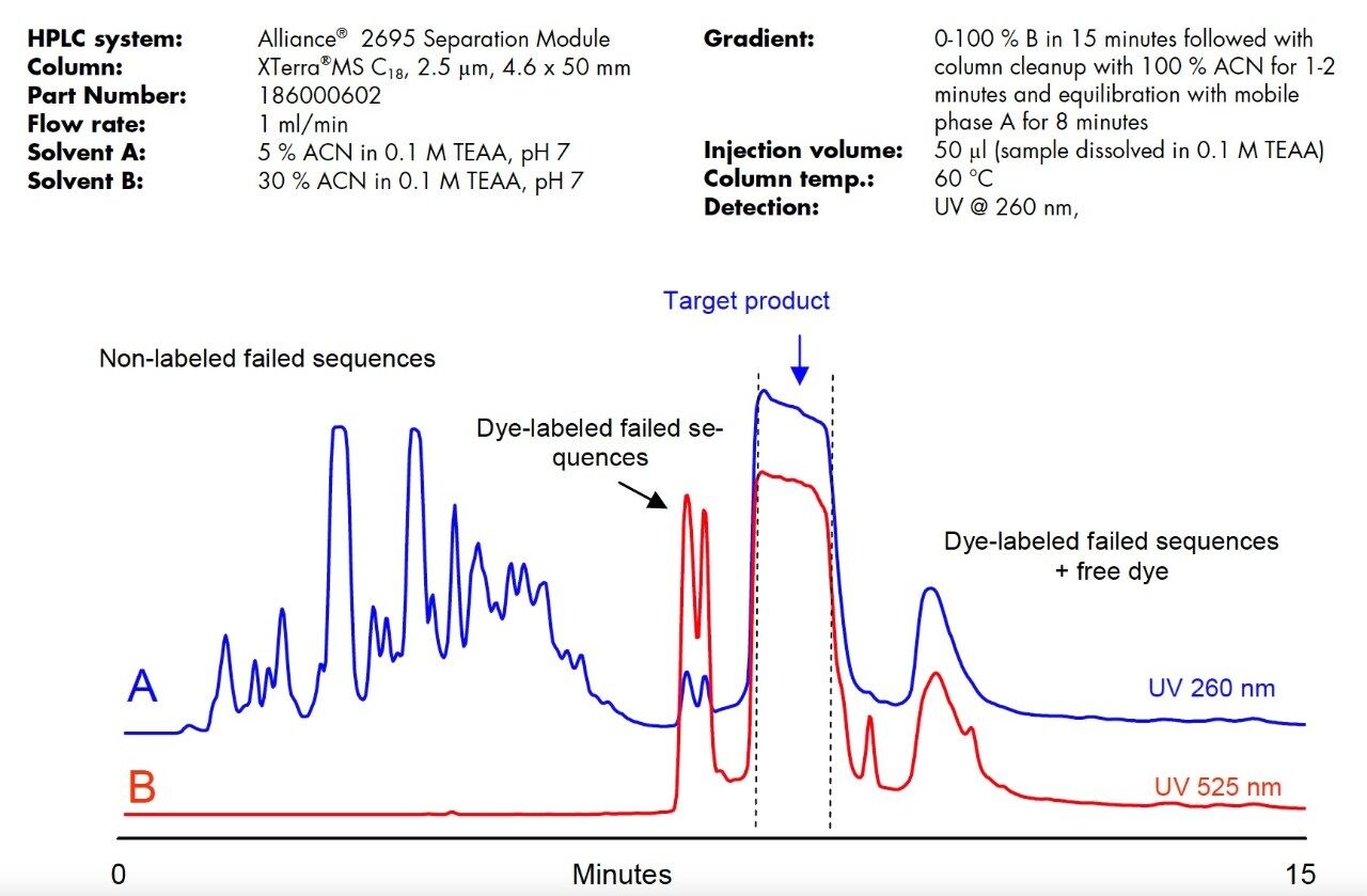 Purification of 100nmole of 5’ TET labeled oligonucleotide.