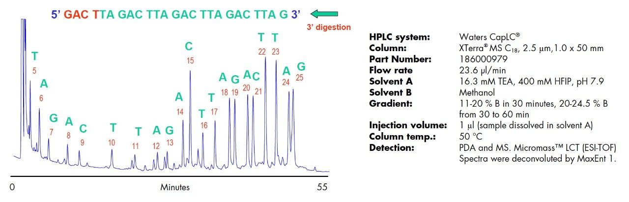 LC-MS identification of oligonucleotides.