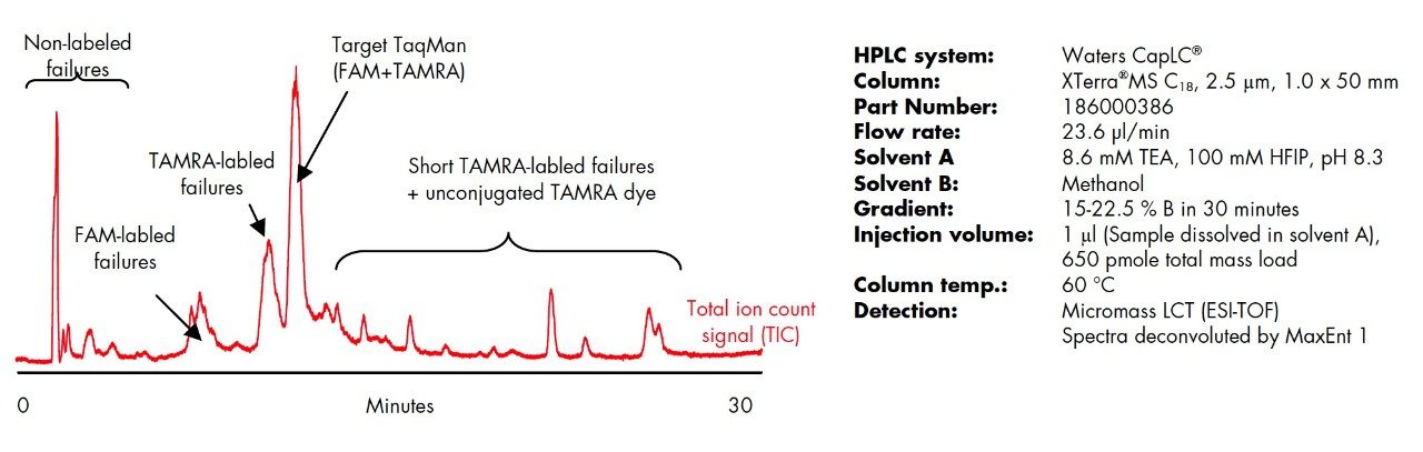 LC-MS identification of 21mer TaqMan and failure by-products generated by one-pot Probe synthesis.