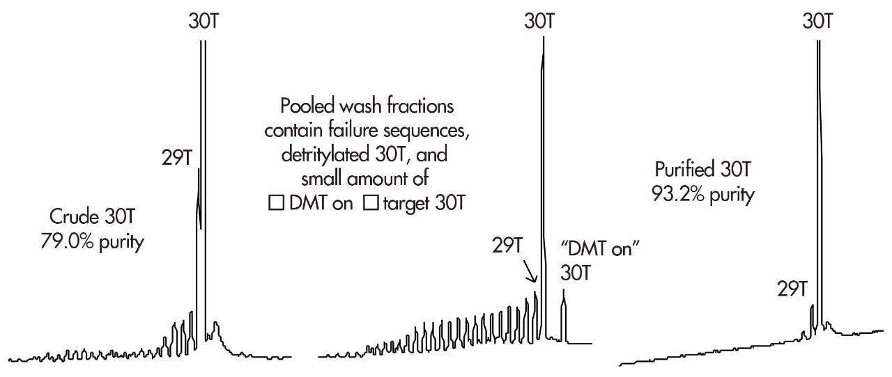 Capillary Gel Electrophoresis Analysis of Fractions from Oligodeoxythymine (30-mer) SPE Purification