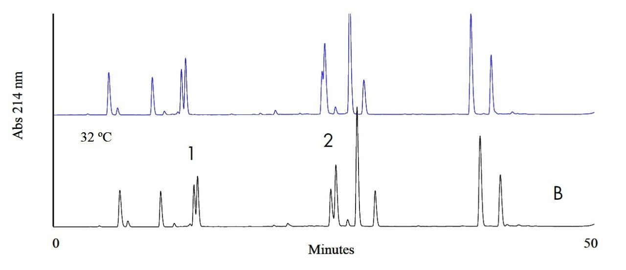 Influence and Control of Column Temperature in Successful Peptide