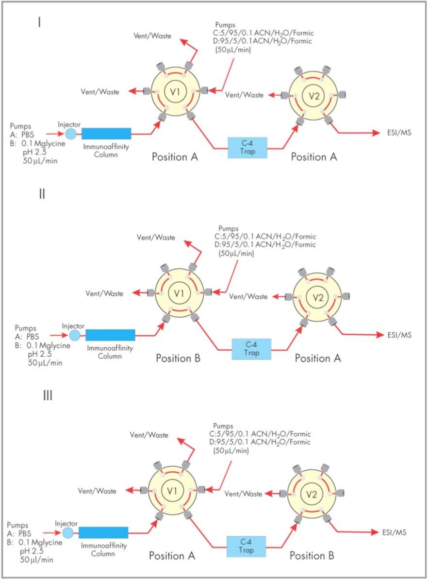 Schematic of online analysis of transthyretin mutants