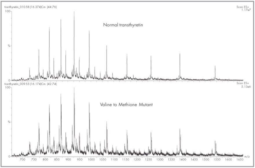 Multiply charged spectra of normal and variant transthyretin