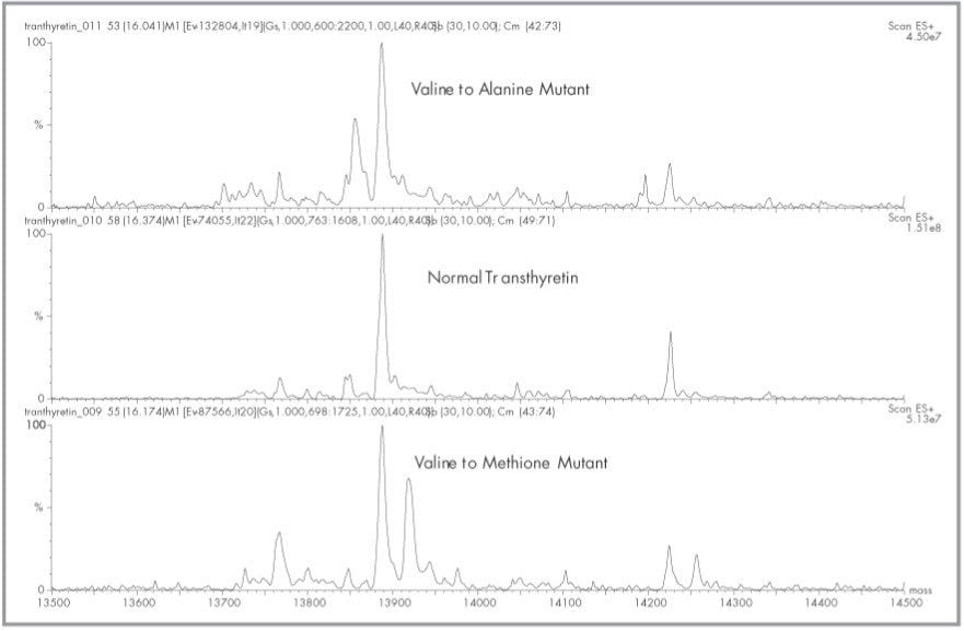 Normal and mutant transthyretin converted to a relative mass scale with the MaxEnt algorithm
