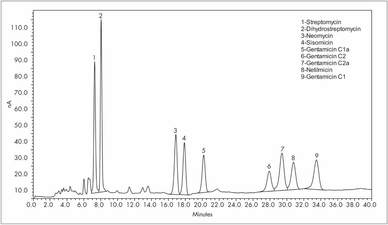 Separation of an aminoglycoside antibiotic mixture