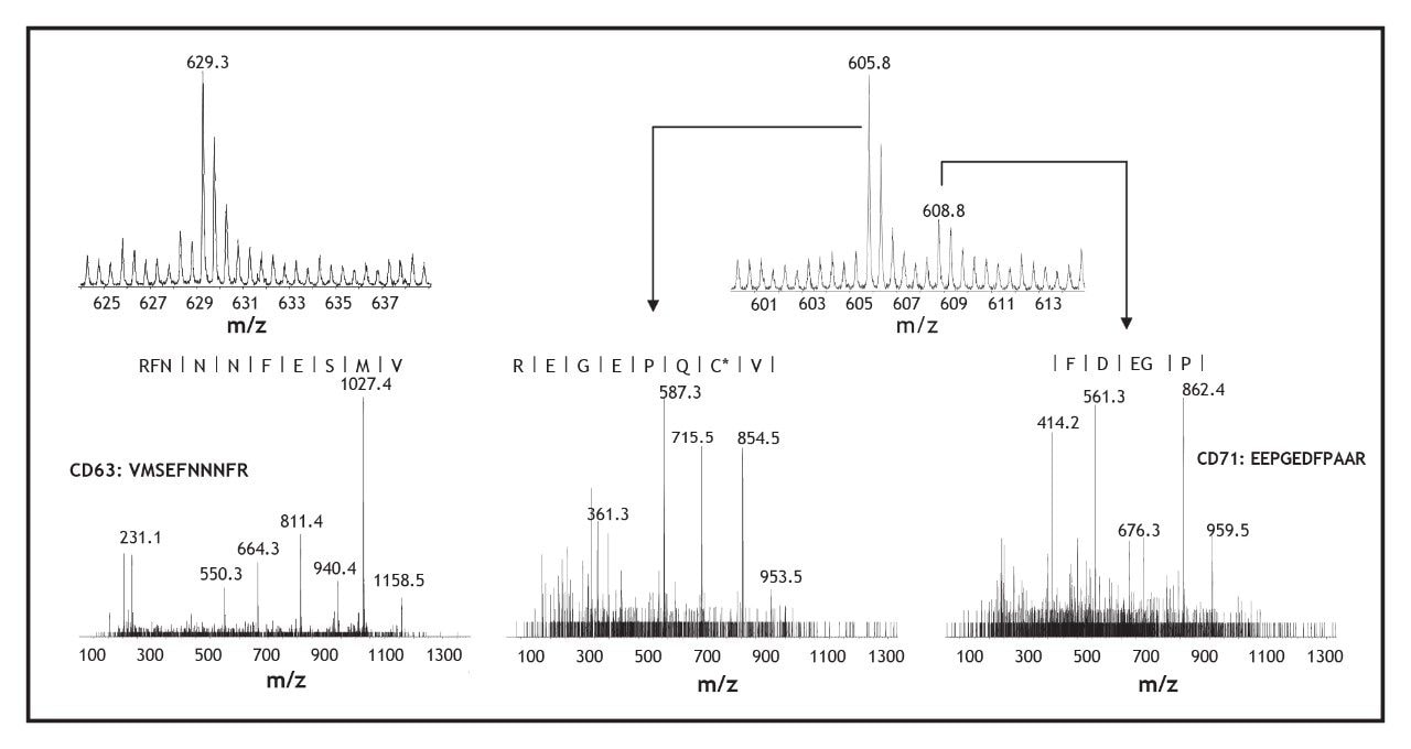 Tandem mass spectra of the trace-level peptide ions identified.