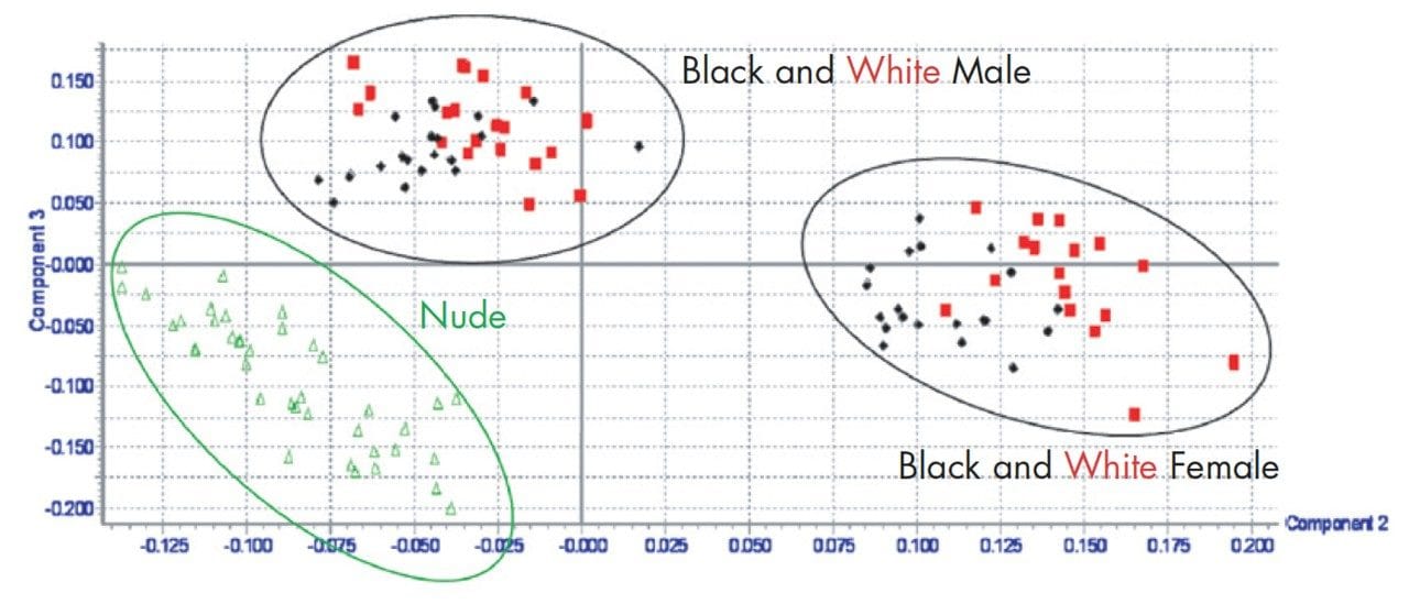 Scores plot.