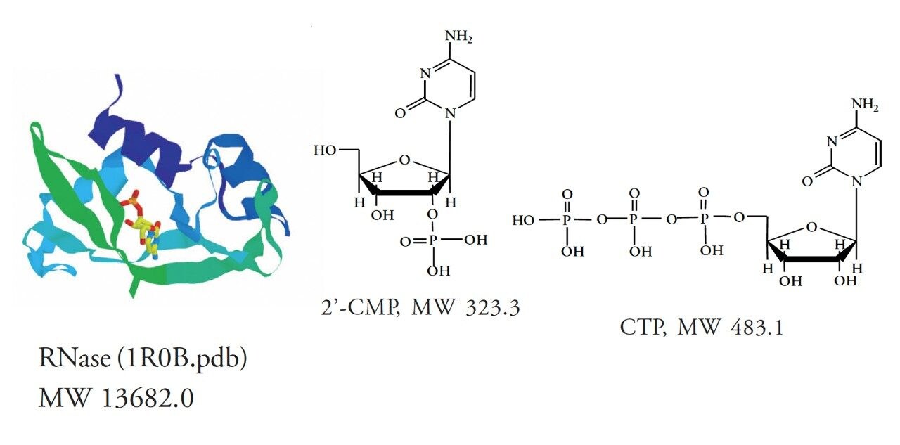 Protein and ligand structures.