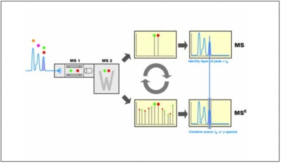 Schematic showing the principle of electrospray LC-MS data acquisition with the Protein Expression System