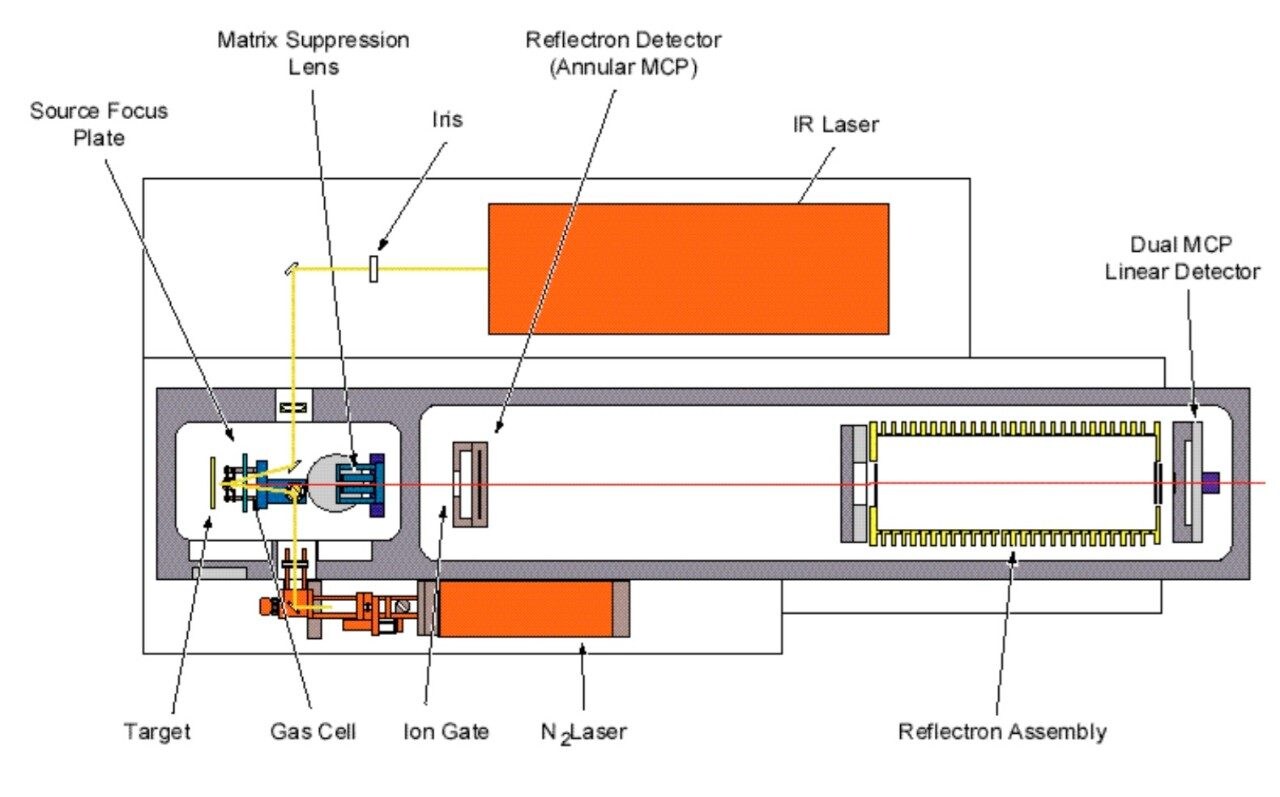 Schematic of instrument