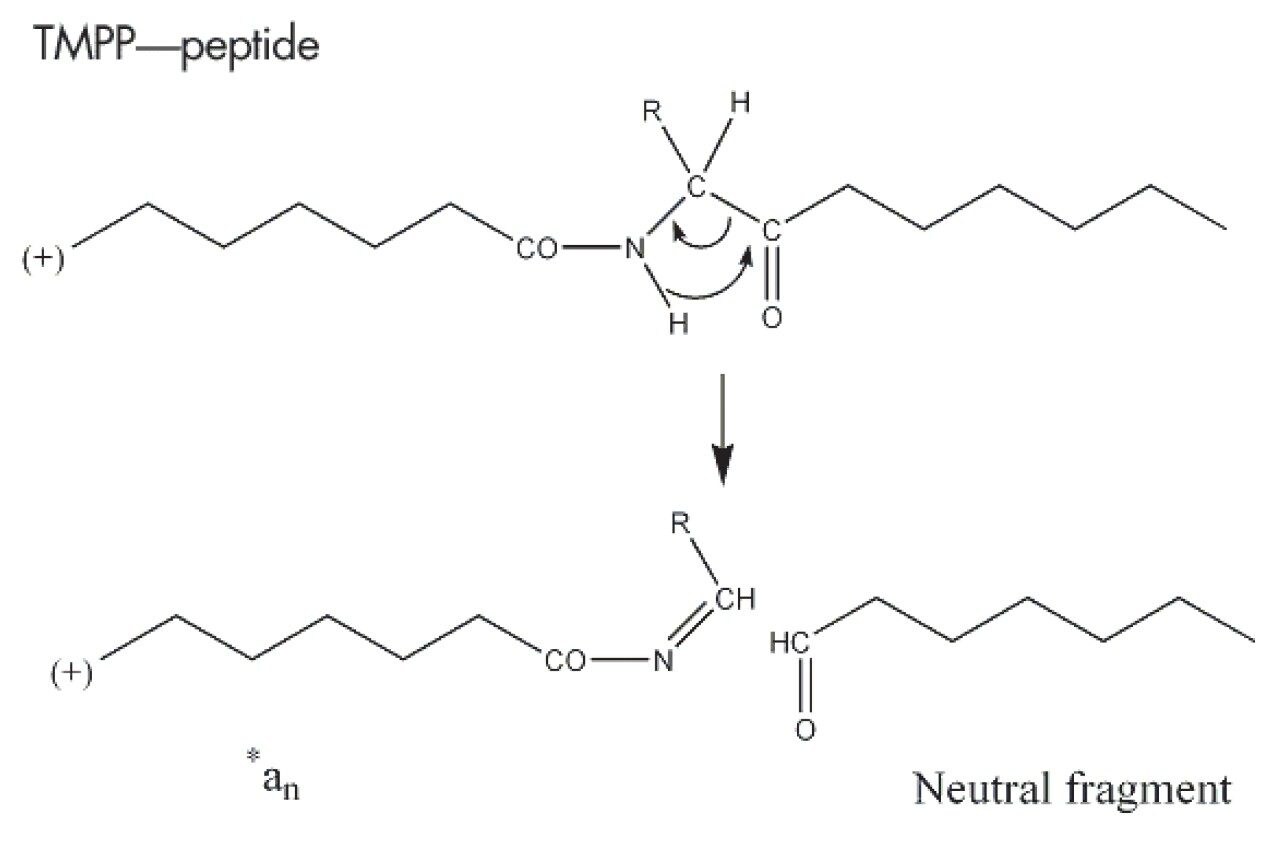 Mechanism of fragmentation for the *an ion formation.