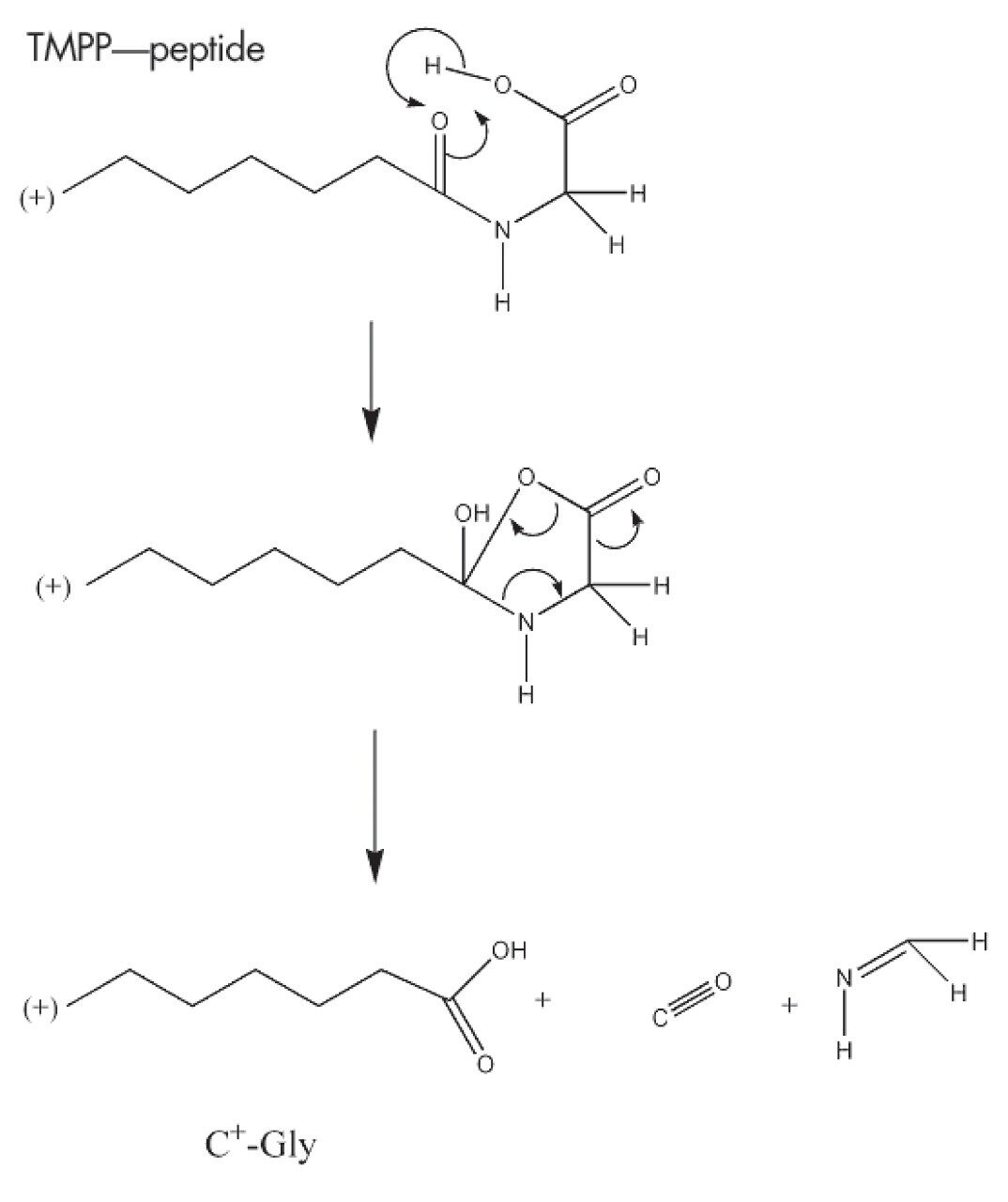 Mechanism of fragmentation for the C+-G ion formation.
